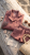 stonewshed girls .png